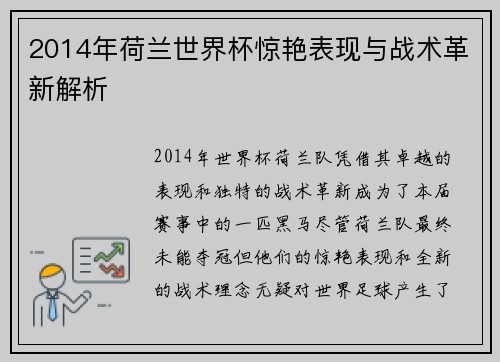 2014年荷兰世界杯惊艳表现与战术革新解析